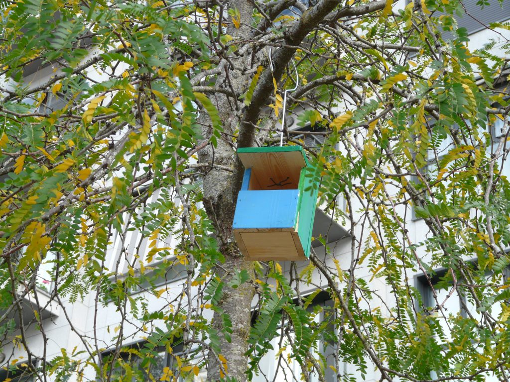 Cajas nido al servicio de las aves urbanas Ner Group